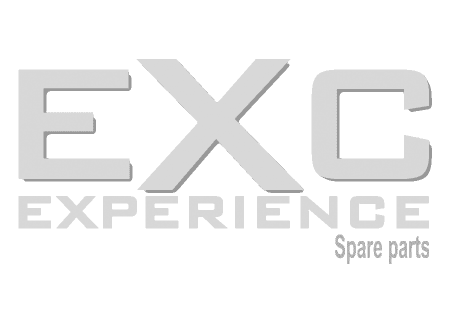 Logo-Experience